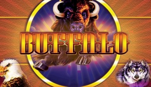 Buffalo Slot – Recenzja Internetowej Gry Buffalo